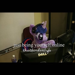 Size: 640x640 | Tagged: safe, artist:bow2yourwaifu, artist:plushwaifus, character:twilight sparkle, computer, dell, headphones, irl, justponythings, meme, online, photo, plushie, solo, water bottle