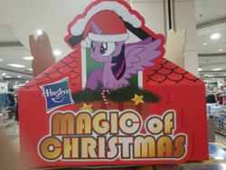 Size: 1920x1440 | Tagged: safe, artist:starlessnight22, official, character:twilight sparkle, character:twilight sparkle (alicorn), species:alicorn, species:pony, candy, candy cane, christmas, clothing, cute, female, food, hasbro, hasbro logo, hat, irl, magic of christmas, mare, nose wrinkle, photo, raised hoof, retail, santa hat, scrunchy face, sitting, spread wings, standee, store display, wide eyes, wings