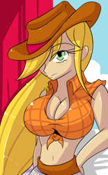 Size: 1600x2580 | Tagged: safe, artist:d-xross, character:applejack, species:human, belly button, big breasts, breasts, busty applejack, cleavage, clothing, female, humanized, midriff, solo