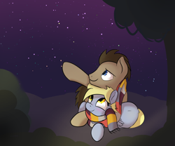 Size: 750x625 | Tagged: safe, artist:klemm, character:derpy hooves, character:doctor whooves, character:time turner, species:pegasus, species:pony, newbie artist training grounds, clothing, female, mare, night, scarf, stars