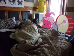 Size: 4320x3240 | Tagged: safe, artist:emedina13, character:pinkie pie, species:human, bed, blanket, bottle, crossover, drums, irl, irl human, photo, pikachu, pillow, playing, plushie, pokémon, ponies in real life, sleeping, vector