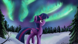 Size: 1280x720 | Tagged: safe, artist:ailynd, character:twilight sparkle, character:twilight sparkle (alicorn), species:alicorn, species:pony, aurora borealis, female, fir tree, forest, snow, solo, winter