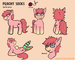 Size: 5000x4000 | Tagged: safe, artist:missvtheloser, oc, oc only, oc:peachy socks, species:earth pony, species:pony, clothing, socks, solo, striped socks