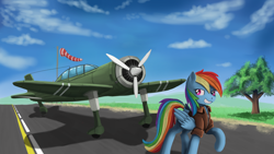Size: 2560x1440 | Tagged: safe, artist:ailynd, character:rainbow dash, species:pegasus, species:pony, bomber jacket, cloud, female, flag, grin, mare, pilot dash, plane, pole, raised hoof, sky, smiling, solo, tree