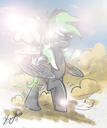 Size: 762x911 | Tagged: safe, artist:dawnallies, oc, oc only, oc:graphite sketch, species:pegasus, species:pony, female, lens flare, mare, solo, sunglasses