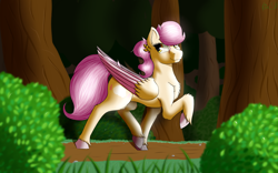 Size: 3200x2000 | Tagged: safe, artist:kirasunnight, oc, oc only, species:pegasus, species:pony, chest fluff, colored wings, ear fluff, female, fluffy, forest, leg fluff, looking back, mare, multicolored wings, raised hoof, shoulder fluff, solo, trotting, unshorn fetlocks