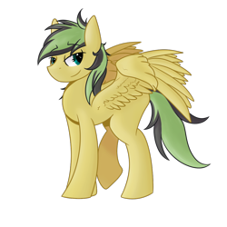 Size: 960x960 | Tagged: safe, artist:wulfanite, oc, oc only, oc:ailan, species:pegasus, species:pony, 2019 community collab, derpibooru community collaboration, male, simple background, solo, transparent background, wings