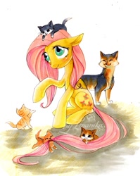 Size: 643x809 | Tagged: safe, artist:imanika, character:fluttershy, species:pegasus, species:pony, cat, female, kitten, mare, sitting