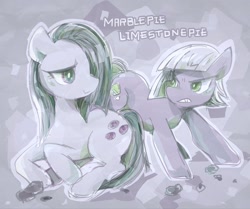 Size: 1024x858 | Tagged: safe, artist:osawari64, character:limestone pie, character:marble pie, species:earth pony, species:pony, female, mare, scowl, sisters