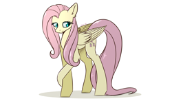 Size: 2500x1468 | Tagged: safe, artist:kirasunnight, character:fluttershy, species:pegasus, species:pony, female, mare, simple background, solo, white background