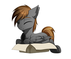 Size: 3049x2520 | Tagged: safe, artist:kxttponies, oc, oc only, oc:sketch skylar, species:pegasus, species:pony, box, chest fluff, eyes closed, if i fits i sits, male, pony in a box, simple background, solo, stallion, transparent background