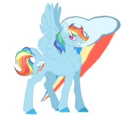 Size: 1024x976 | Tagged: safe, artist:uniquecolorchaos, character:rainbow dash, species:pony, female, simple background, solo, tail feathers, white background