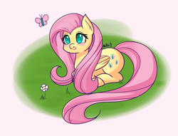Size: 1700x1300 | Tagged: safe, artist:melliedraws, character:fluttershy, species:pegasus, species:pony, blushing, butterfly, cute, female, flower, mare, ponyloaf, prone, shyabetes, solo