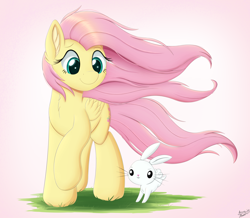 Size: 4500x3927 | Tagged: safe, artist:arcane-thunder, character:angel bunny, character:fluttershy, species:pegasus, species:pony, absurd resolution, cheek fluff, chest fluff, cute, duo, ear fluff, female, grass, male, mare, shyabetes, simple background, smiling, windswept mane