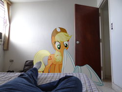 Size: 4896x3672 | Tagged: safe, artist:emedina13, character:applejack, species:human, absurd resolution, bed, blanket, irl, photo, ponies in real life, pov