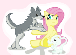 Size: 1712x1232 | Tagged: safe, artist:sallycars, character:angel bunny, character:fluttershy, species:pegasus, species:pony, species:rabbit, species:wolf, episode:she talks to angel, g4, my little pony: friendship is magic, animal, body swap, female, licking, male, mare, ms paint, sandra, simple background, tongue out, trio