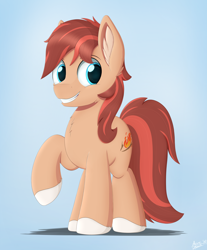 Size: 3152x3800 | Tagged: safe, artist:arcane-thunder, oc, oc only, oc:cottonwood kindle, species:earth pony, species:pony, cheek fluff, chest fluff, ear fluff, gift art, gradient background, male, smiling, solo, stallion