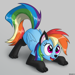 Size: 5000x5000 | Tagged: safe, artist:irisarco, character:rainbow dash, species:pegasus, species:pony, adorasexy, animal costume, cat costume, cat ears, clothing, costume, cute, dashabetes, female, mare, nightmare night, open mouth, paw socks, sexy, simple background, smiling, socks, solo, thigh highs