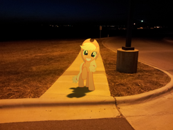 Size: 2048x1536 | Tagged: safe, artist:emedina13, character:applejack, night, ponies in real life, sidewalk, streetlight, vector