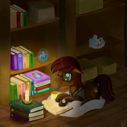 Size: 3000x3000 | Tagged: safe, artist:polkin, oc, oc only, oc:kronos, book, candle, clothing, figurine, library, reading, solo, watch