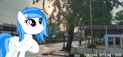 Size: 4032x1872 | Tagged: safe, artist:ponyrailartist, oc, oc only, oc:winter white, species:pegasus, species:pony, irl, photo, ponies in real life