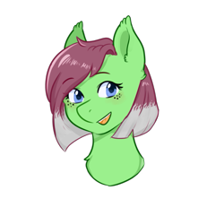 Size: 667x593 | Tagged: safe, artist:poofindi, part of a set, oc, oc only, oc:watermelon success, species:earth pony, species:pony, bust, female, gradient hair, mare, simple background, solo, transparent background, ych result