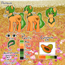 Size: 2000x2000 | Tagged: safe, artist:poofindi, oc, oc only, oc:papaya, species:earth pony, species:pony, reference sheet
