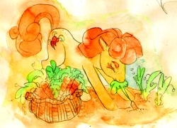 Size: 600x432 | Tagged: safe, artist:muura, character:carrot top, character:golden harvest, species:earth pony, species:pony, carrot, female, gardening, mare, mouth hold, pulling, solo, traditional art, watercolor painting, working