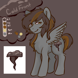 Size: 2000x2000 | Tagged: safe, artist:poofindi, oc, oc only, oc:cold front, species:pegasus, species:pony, reference sheet