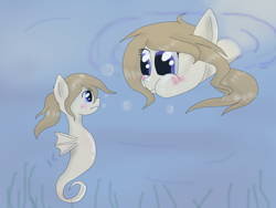 Size: 2048x1536 | Tagged: safe, artist:askponybrandenburg, species:pegasus, species:pony, species:sea pony, blushing, brandenburg, duality, duo, female, hetalia, looking at each other, mare, ponidox, ponified, puffy cheeks, seaponified, self ponidox, species swap, underwater