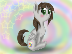 Size: 2048x1536 | Tagged: safe, artist:askponybrandenburg, oc, oc only, species:pegasus, species:pony, abstract background, blushing, chest fluff, female, mare, pegasus oc, sitting, solo, wings