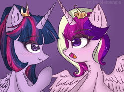 Size: 2700x2000 | Tagged: safe, artist:memengla, character:princess cadance, character:twilight sparkle, character:twilight sparkle (alicorn), species:alicorn, species:pony, crown, duo, female, jewelry, regalia, sisters-in-law