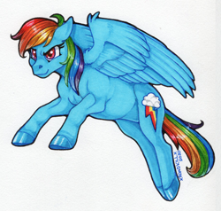 Size: 1264x1204 | Tagged: safe, artist:champ, character:rainbow dash, species:pegasus, species:pony, female, mare, simple background, solo, traditional art, white background