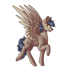 Size: 2000x2000 | Tagged: safe, artist:flaming-trash-can, oc, oc only, species:pegasus, species:pony, solo