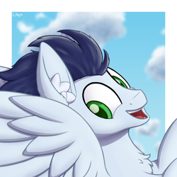 Size: 1500x1500 | Tagged: safe, artist:litrojia, character:soarin', species:pegasus, species:pony, g4, bust, chest fluff, cloud, ear fluff, flying, looking at you, male, open mouth, portrait, smiling, solo, spread wings, stallion, wings