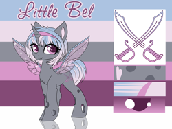 Size: 4000x3000 | Tagged: safe, artist:kxttponies, oc, oc:little bel, species:changepony, g4, female, high res, hybrid, reference sheet, solo