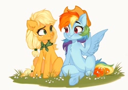 Size: 1024x723 | Tagged: safe, artist:sofiko-ko, character:applejack, character:rainbow dash, species:earth pony, species:pegasus, species:pony, ship:appledash, g4, accessory swap, chest fluff, cute, dashabetes, female, grass, jackabetes, lesbian, looking at each other, mare, shipping, simple background, sitting, smiling, white background