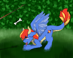 Size: 960x768 | Tagged: safe, artist:dark_nidus, oc, oc only, oc:draco flames, species:pony, g4, behaving like a dog, bone, carrot on a stick, collar, commission, cutie mark, original species, outdoors, solo, tongue out, wings, ych result