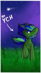 Size: 1698x3000 | Tagged: safe, artist:dark_nidus, oc, species:pony, species:unicorn, g4, commission, flower, grass, grass field, outdoors, sky, stars, your character here