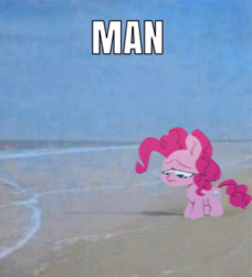 Size: 3186x3500 | Tagged: safe, artist:jimmyjamno1, character:pinkie pie, species:earth pony, species:pony, g4, beach, blurry, caption, chibi, female, frown, image macro, irl, lidded eyes, looking down, man, mare, meme, ocean, photo, ponified animal photo, ponified meme, sad, solo, text