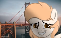 Size: 1280x800 | Tagged: safe, artist:ponyrailartist, oc, oc only, species:pegasus, species:pony, g4, cute, female, golden gate bridge, irl, mare, ocbetes, pegasus oc, photo, ponies in real life, raffle prize, san francisco, wings
