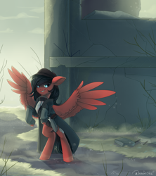 Size: 3000x3386 | Tagged: safe, artist:neonishe, oc, oc only, species:pegasus, species:pony, g4, clothing, commission, high res, male, outdoors, pegasus oc, solo, spread wings, wings
