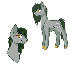 Size: 1806x1566 | Tagged: safe, artist:flaming-trash-can, oc, oc:antimony ouroboros, species:earth pony, species:pony, g4, simple background, white background