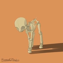 Size: 2615x2620 | Tagged: safe, artist:kozachokzrotom, species:pony, g4, anatomy, bone, simple background, skeleton