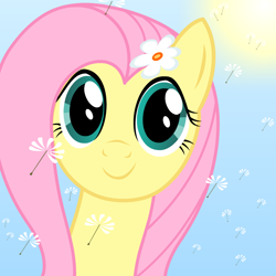 Size: 800x800 | Tagged: safe, artist:bajanic, character:fluttershy, species:pony, bust, dandelion, female, flower, flower in hair, full face view, looking at you, mare, smiling, solo, sun