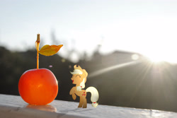 Size: 3872x2592 | Tagged: safe, artist:utterlyludicrous, character:applejack, apple, appletini, female, lens flare, ponies in real life, small, solo, vector