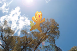 Size: 3872x2592 | Tagged: safe, artist:utterlyludicrous, character:applejack, falling, female, lens flare, ponies in real life, solo, sun, tree, vector