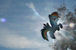 Size: 3872x2592 | Tagged: safe, artist:utterlyludicrous, character:rainbow dash, irl, lens flare, photo, ponies in real life, sky, solo, tree, vector