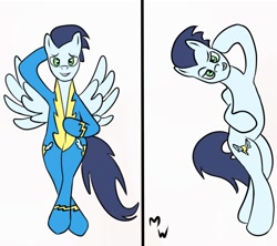Size: 900x800 | Tagged: safe, artist:midnight-wizard, character:soarin', species:pony, body pillow, body pillow design
