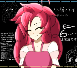 Size: 2828x2500 | Tagged: safe, artist:misterbrony, character:pinkie pie, species:human, female, humanized, japanese, profile, profile info, solo